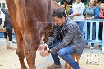  El alcalde de Telde se va con 'Rosita' (Foto TA)